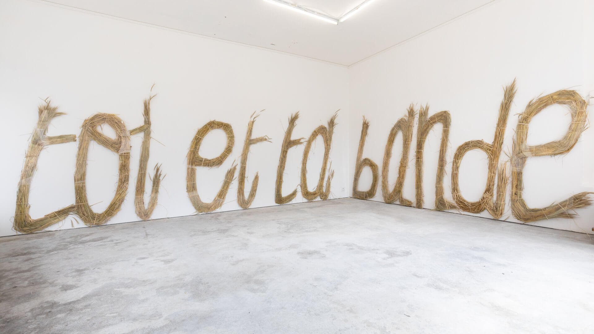 Toi et ta bande — Palais de Tokyo