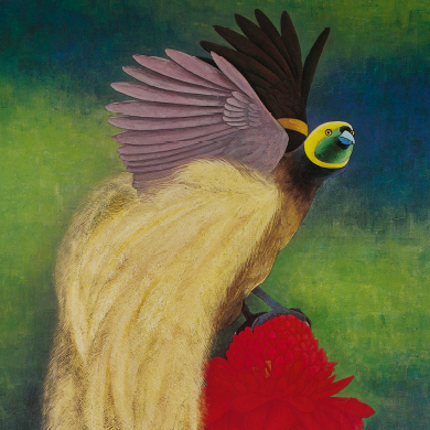 Plumes du paradis — Quai Branly — Jacques Chirac